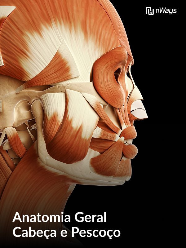 Modulo-5-Anatomia-Geral.jpg